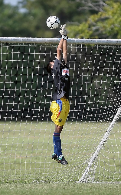 获得了稳定 获得了稳定