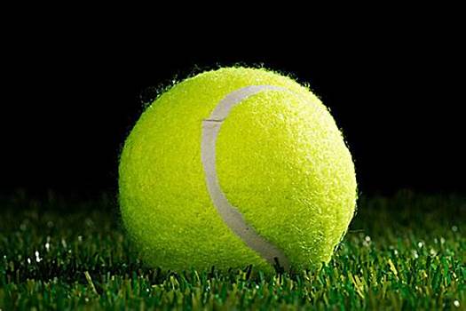 在这场比赛 在这场比赛