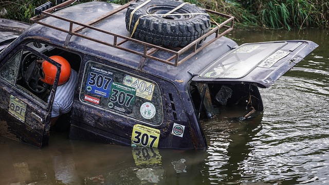 不仅仅是个 不仅仅是个