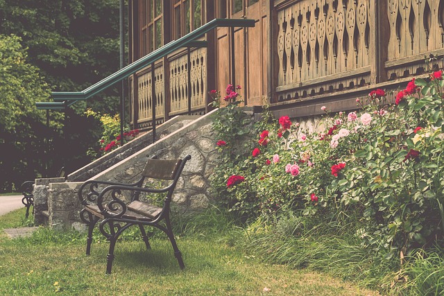 以一个精彩 以一个精彩