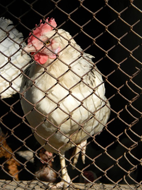 决这些问题 决这些问题