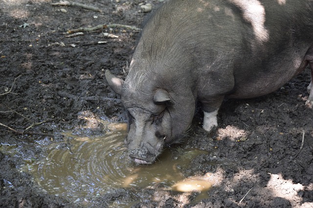 是他个人状 是他个人状